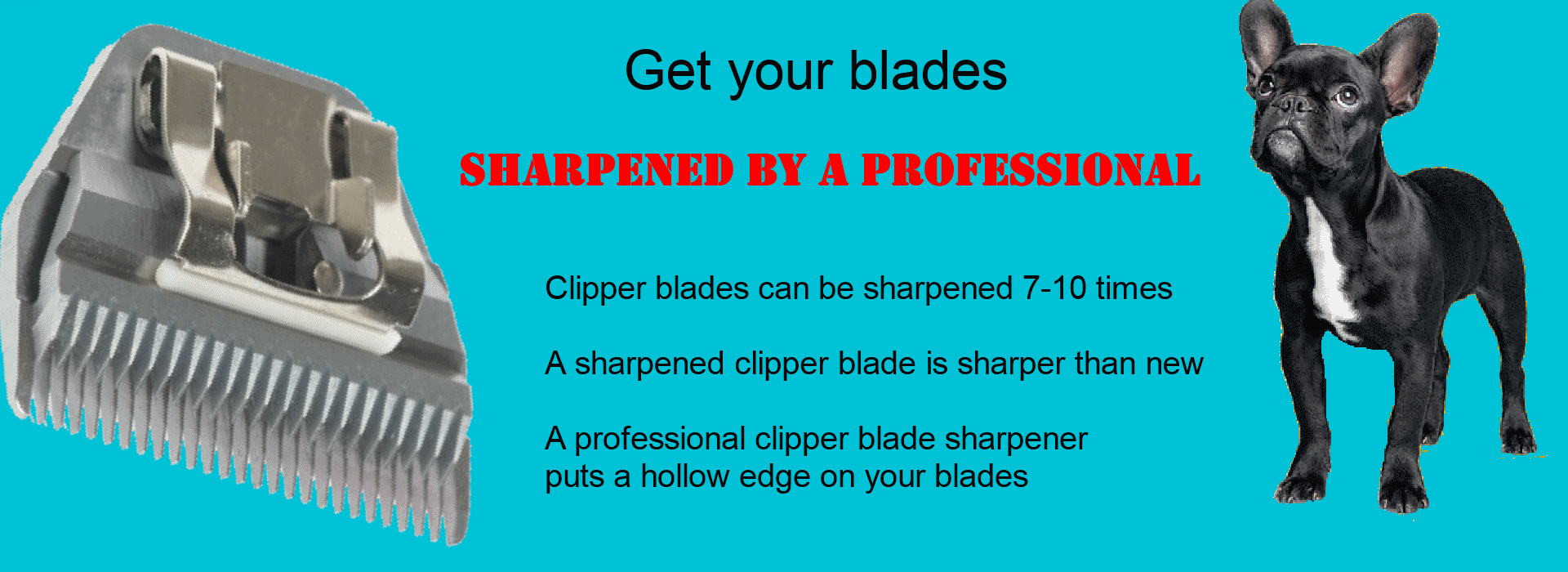The Groomers Edge – Clipper Blade Sharpening